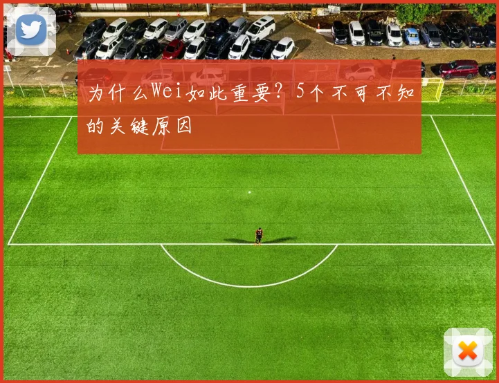 为什么Wei如此重要？5个不可不知的关键原因