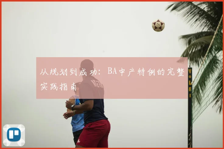 从规划到成功：BA中产特例的完整实践指南