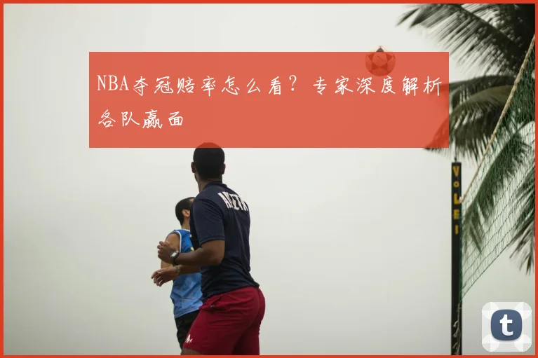 NBA夺冠赔率怎么看？专家深度解析各队赢面