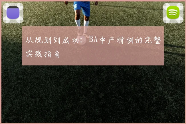 从规划到成功：BA中产特例的完整实践指南