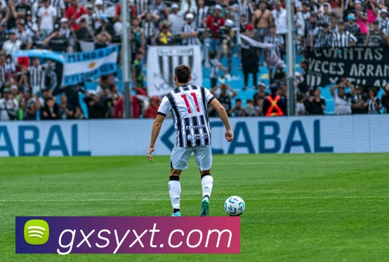 乐鱼体育官方网站发展历程